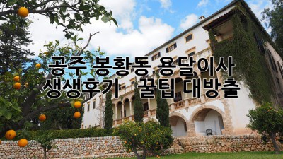공주 봉황동 용달이사 생생후기 🚚💨 | 꿀팁 대방출🍯
